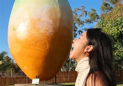 Big Mango Bet .